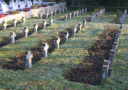headstones.png